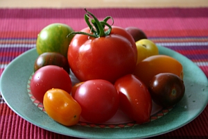 Tomaten-Vielfalt