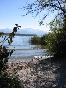 Chiemsee-Ufer bei Breitbrunn
