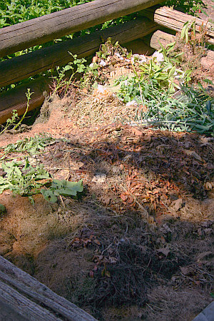 Kompostsammlung in einem offenen Kompostbehlter aus Holz