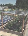 Tomaten m�gen Regenschutz - hier hochgestellte Fr�hbeetfenster