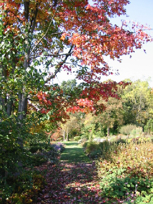 Herbststimmung in den Weihenstephaner Grten - klick hier fr die Diaschau - Achtung Ladezeit fr 1,01 MByte