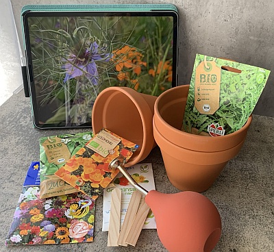 Im Juni k�nnen noch Blumen und Gem�se ausges�t werden.