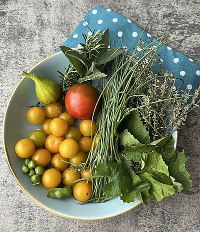 Topfgarten: Erntezeit f�r Gem�se und Kr�uter vom Balkon