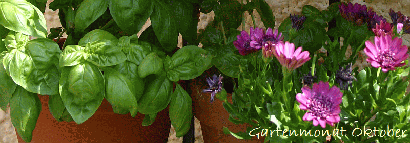 Gartenmonat Oktober