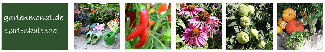 Gartenkalender - gartenmonat.de